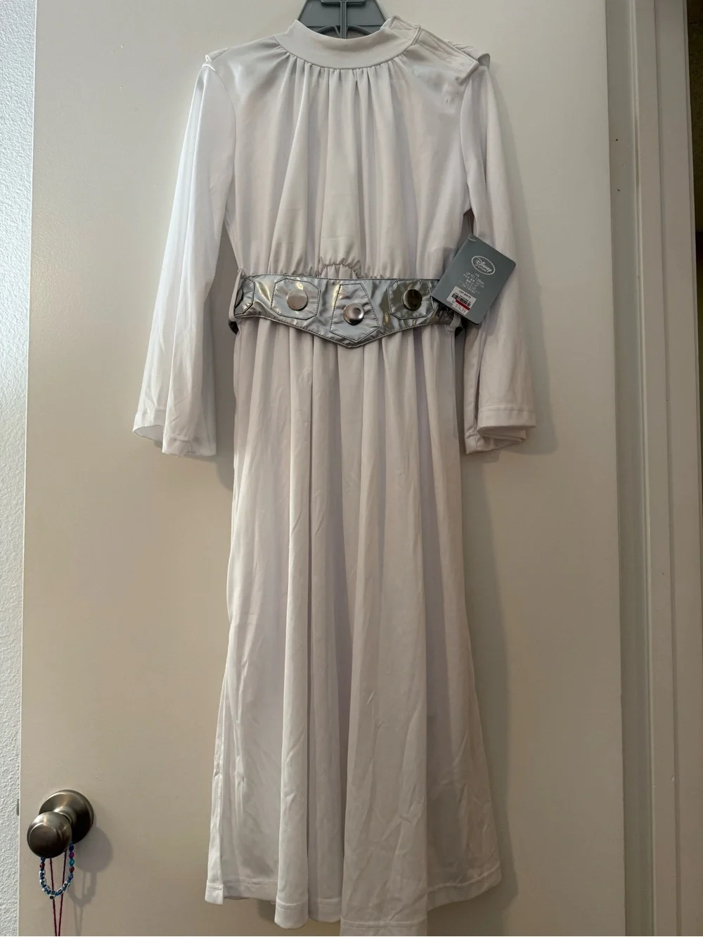 Disney Princess Leia Costume